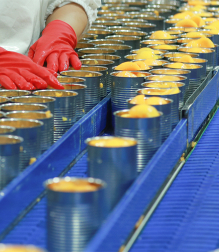Canned yellow peaches factory