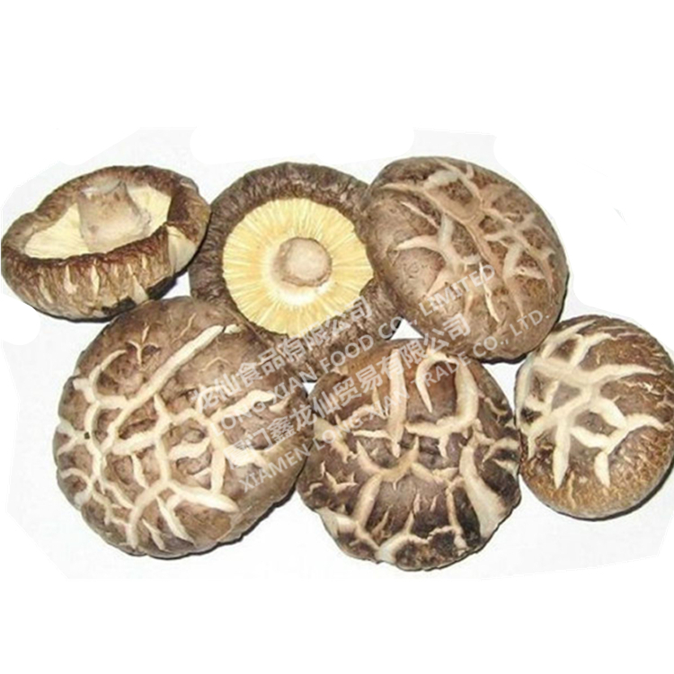 DRIED SHIITAKE MUSHROOM