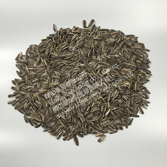 High quality Chinese sunflower seeds