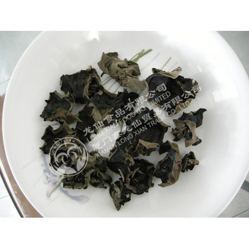 DRIED BLACK FUNGUS