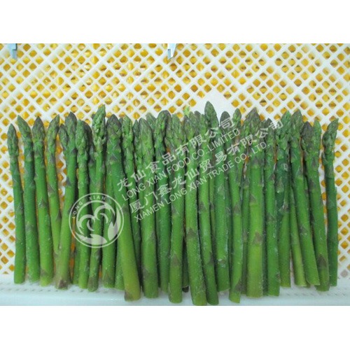 IQF ASPARAGUS